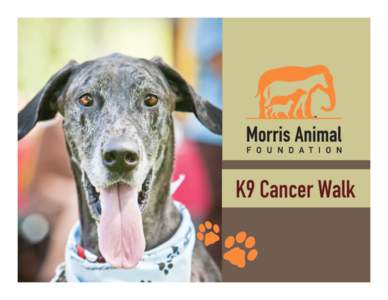 What is Morris Animal Foundation?
 Founded in 1948 by Dr. Mark L. Morris Sr., a pioneer in animal nutrition and a veterinary industry leader. Today, the second and third generation of Morris family members join world ve