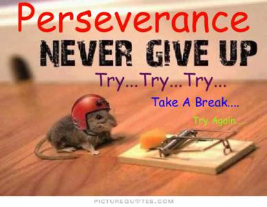 Perseverance Try...Try...Try... Take A Break.... Try Again....  