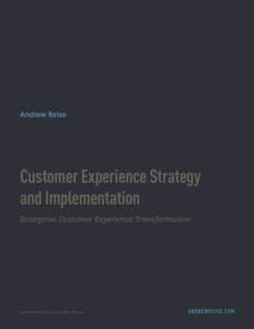 Customer Experience Strategy and Implementation Enterprise Customer Experience Transformation © 2014 Andrew Reise, LLC. All Rights Reserved.