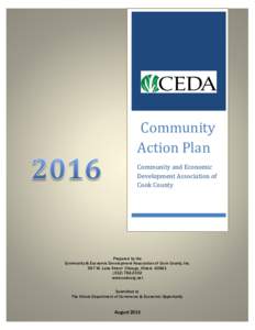 Community Action Plan Community and Economic Development Association of Cook County