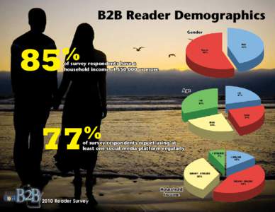 B2B Reader Demographics Gender 85  %