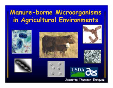 Impact of Animal Agriculture on Microbial Water Quality