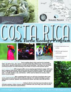 COSTA RICA Students complete more than 20 hours of research during beach patrols and research investigation, as well as 30+ hours of coursework and hands-on instruction in sea turtle biology, rainforest ecology, and cons