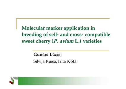 Microsoft PowerPoint - CherryMarkers-Lacis-2008.ppt