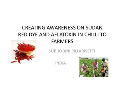 CREATING AWARENESS ON SUDAN RED DYE AND AFLATOXIN IN CHILLI TO FARMERS SUBHODINI PILLARISETTI INDIA