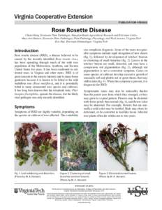 PUBLICATION[removed]Rose Rosette Disease Chuan Hong, Extension Plant Pathologist, Hampton Roads Agricultural Research and Extension Center Mary Ann Hansen, Extension Plant Pathologist, Plant Pathology, Physiology, and W