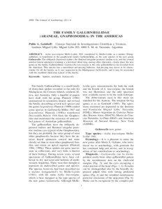 2000. The Journal of Arachnology 28:1–6  THE FAMILY GALLIENIELLIDAE