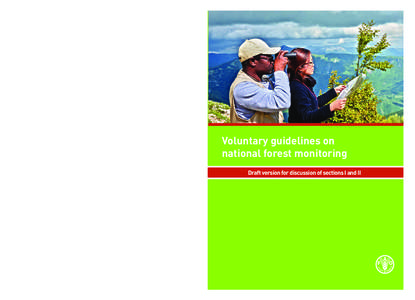 Microsoft Word - Section I and II  Voluntary Guidelines on National Forest Monitoring EN.doc