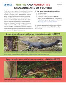 Native and NONNATIVE Crocodilians of Florida Florida has two native species of crocodilians, the American alligator (Alligator mississippiensis) and the American crocodile (Crocodylus acutus). These federally protected s