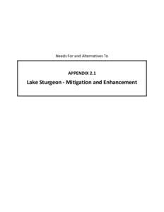 Needs For and Alternatives To  APPENDIX 2.1 Lake Sturgeon - Mitigation and Enhancement