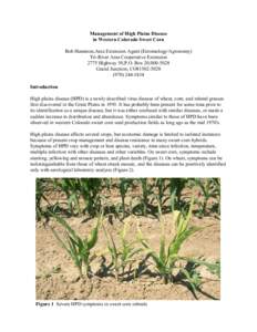 Management of High Plains Disease in Western Colorado Sweet Corn Bob Hammon,Area Extension Agent (Entomology/Agronomy) Tri-River Area Cooperative Extension 2775 Highway 50,P.O. Box 20,[removed]Grand Junction, CO81502-502