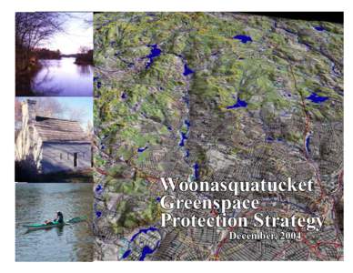Woonasquatucket Greenspace Protection Strategy December, 2004  Project Team