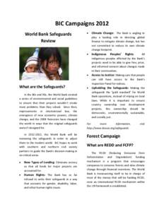 BIC Campaigns 2012 World Bank Safeguards Review 