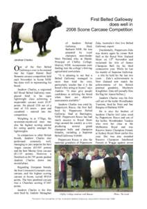 First Belted Galloway does well in 2008 Scone Carcase Competition Jandrew Charles