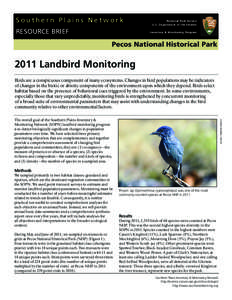 Pinyon Jay / Bird / Zoology / Taxonomy / Environmental statistics / Transect