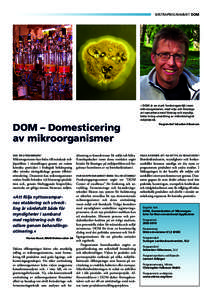 MISTRAPROGRAMMET DOM  DOM – Domesticering av mikroorganismer VAD ÄR UTMANINGEN?