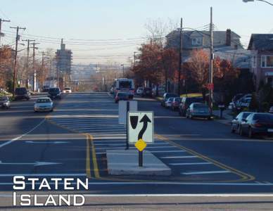 Staten Island 219  SAFE STREETS NYC