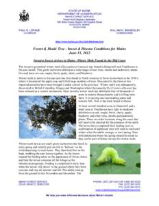 Archipini / Hemiptera / Agricultural pest insects / Spruce Budworm / Hemlock woolly adelgid / Fraxinus americana / Picea mariana / Gypsy moth / Caterpillar / Flora of the United States / Flora / Medicinal plants