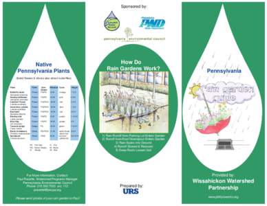 Medicinal plants / Landscape architecture / Sustainable gardening / Water conservation / Rain garden / Garden / Downspout / Asclepias tuberosa / Stormwater / Environment / Water / Water pollution