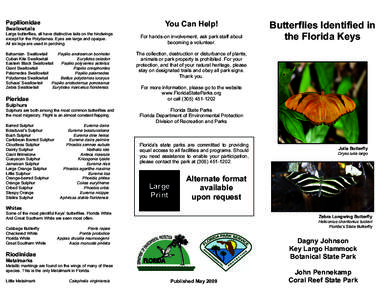 Butterfly Brochure Letter Size (4).pub