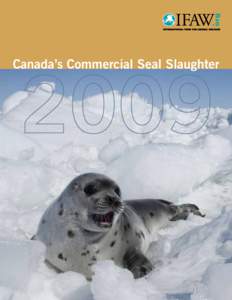 Fisheries / Seal hunting / Sealing / Zoology / Culture / Hakapik / Harp seal / Pinniped / Fur clothing / Animal rights / True seals / Economic history of Australia