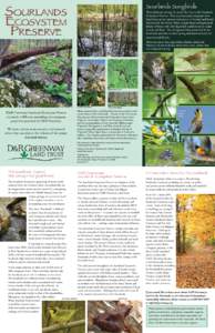 Sourlands Ecosystem Preserve Sourlands Songbirds