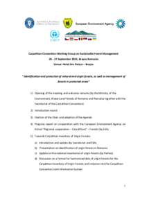 Forest conservation / Forest certification / Forest governance / Sustainable forest management / Forest management / Carpathian Mountains / Romsilva / Framework Convention on the Protection and Sustainable Development of the Carpathians / Forest / Carpathian / Old-growth forest