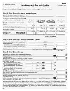 NB428  New Brunswick Tax and Credits T1 General – 2002