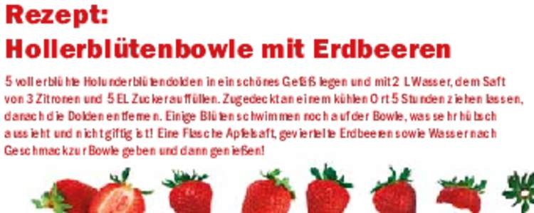 Rezept: Hollerblütenbowle mit Erdbeeren 5 voll erblühte Holunderblütendolden in ein schönes Gefäß legen und mit 2 L Wasser, dem Saft von 3 Zitronen und 5 EL Zucker auffüllen. Zugedeckt an einem kühlen Ort 5 Stund