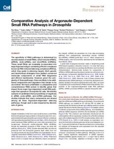 Comparative Analysis of Argonaute-Dependent Small RNA Pathways in Drosophila