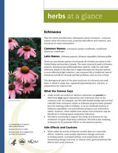 Echinacea This fact sheet provides basic information about echinacea—common names, what the science says, potential side effects and cautions, and resources for more information.  Common Names—echinacea, purple conef