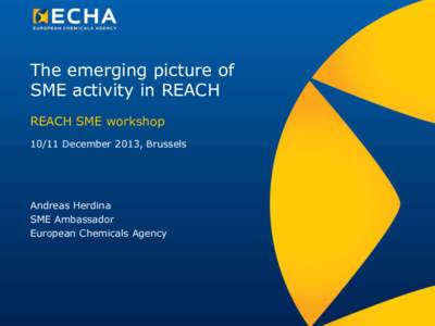 The emerging picture of SME activity in REACH REACH SME workshop[removed]December 2013, Brussels  Andreas Herdina