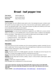 Broad - leaf pepper tree Other Names: Brazilian pepper tree  Botanical Name:
