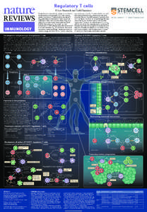 Regulatory T cells Ethan Shevach and Todd Davidson To avoid immune-mediated pathology and unrestricted