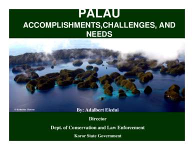 PALAU ACCOMPLISHMENTS,CHALLENGES, AND NEEDS © Katherine Chaston