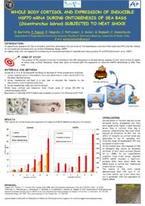 Heat shock proteins / Hsp70 / Cortisol / Gene expression / Anxiety / Biology / Stress