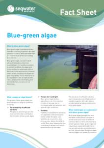 Fact Sheet Blue-green algae What is blue-green algae?