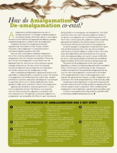 How do Amalgamation & De-amalgamation co-exist? A  malgamations and de-amalgamations are akin to