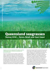 Department of Employment, Economic Development and Innovation Fisheries Queensland Queensland seagrasses Status 2010 – Torres Strait and East Coast