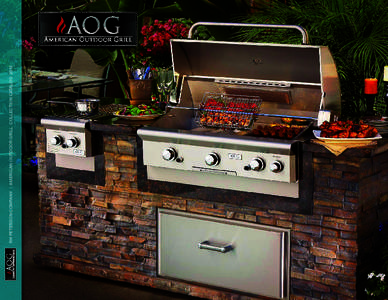 RH PETERSON COMPANY | AMERICAN OUTDOOR GRILL COLLECTION CATALOG 2012  Special moments, like a family barbecue or a celebration with friends and neighbors, are made even more so with the American Outdoor Grill .