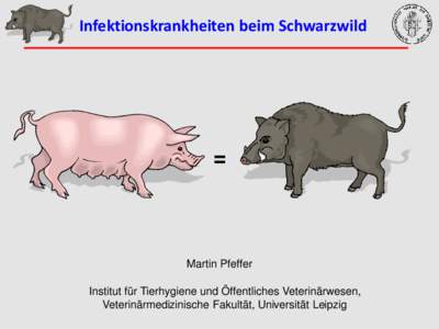 Infektionskrankheiten beim Schwarzwild  = Martin Pfeffer Institut für Tierhygiene und Öffentliches Veterinärwesen,