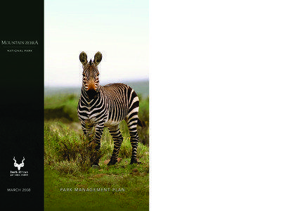 National parks of South Africa / EDGE Species / Mountain Zebra / Plains Zebra / South African National Parks / Protected areas of South Africa / Karoo National Park / Biodiversity / Fauna of Africa / Equus / Zebras
