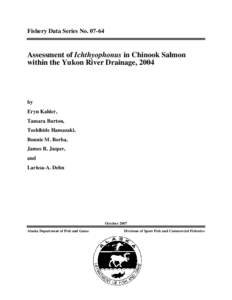 Fishery Data Series No[removed]Assessment of Ichthyophonus in Chinook Salmon within the Yukon River Drainage, 2004  by