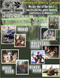 Smoky River Outfitting located in the Northwestern Region of Alberta, Canada offers moose hunts, elk hunts, mule deer bow hunts, whitetail deer hunts and spring & fall bear hunts. We owe our success to great guides, gre