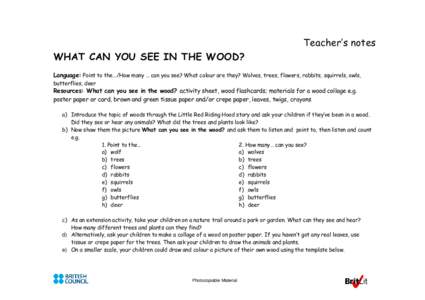 Microsoft Word - what_can_you_see_in_the_wood.doc