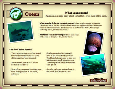 Ocean  What is an ocean? An ocean is a large body of salt water that covers most of the Earth. What are the different types of oceans? There is only one type of ocean on