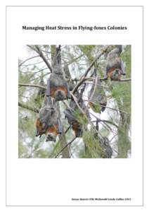 Managing Heat Stress in Flying-foxes Colonies  Sonya Stanvic-Viki McDonald-Linda Collins 2013 Table of Contents Message from the Authors ..................................................................................