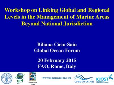 Workshop on Linking Global and Regional Levels in the Management of Marine Areas Beyond National Jurisdiction Biliana Cicin-Sain Global Ocean Forum