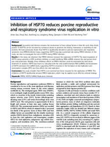 Nidovirales / Hsp70 / Gene expression / RNA / Arterivirus / HSPA1B / Porcine reproductive and respiratory syndrome virus / Chaperone / Virus / Biology / Heat shock proteins / Proteins