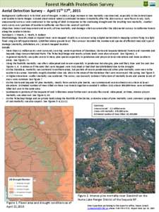 Forest Health Protection Survey Aerial Detection Survey – April 15th-17th, 2015 Background: California is in its third year of drought. In 2014, a large increase in tree mortality was observed, especially in the Centra